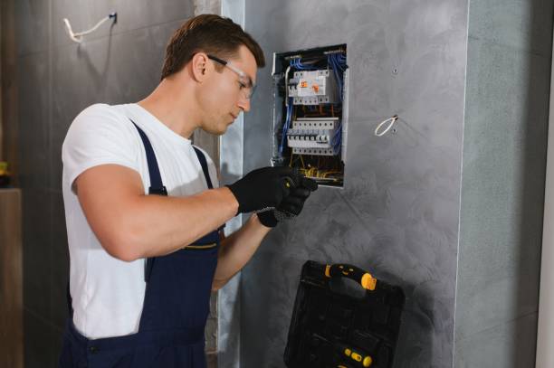 Best Local Electrician Companies  in Leslie, MI